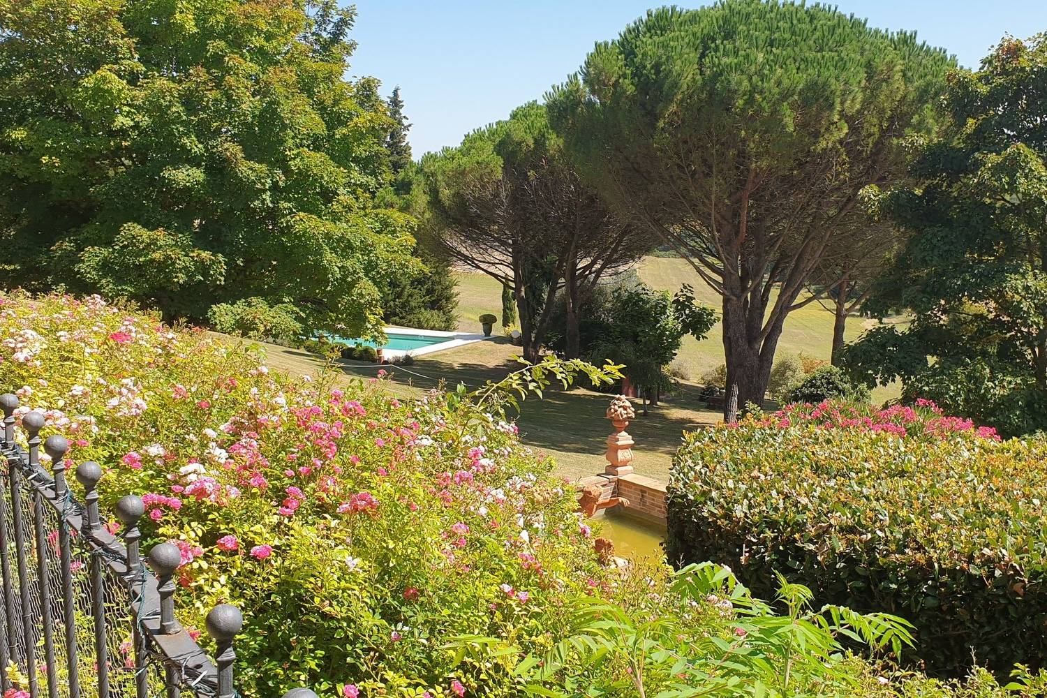 Vue sur le parc