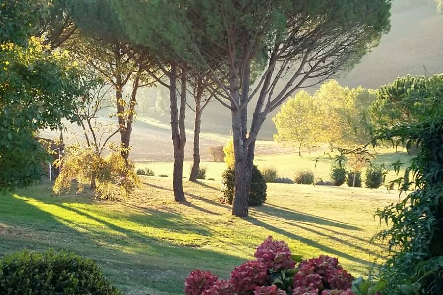 Le parc au coucher du soleil